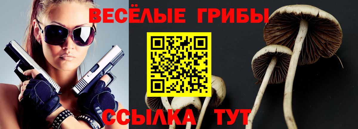 Галлюциногенные грибы прущие грибы Тутаев